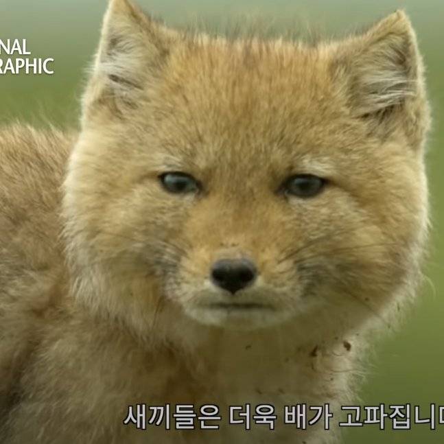  멘토 모스 워드 - 목차 작성 및 관리 (1)