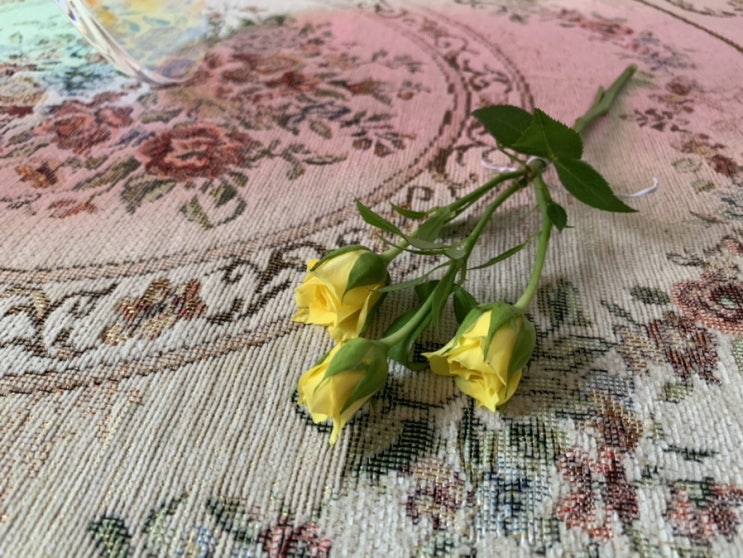  꾸까(kukka) 웰컴플라워 꽃 개실망 후기