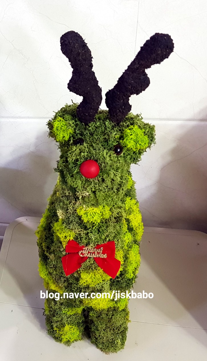 루돌프 스칸디아모스, 크리스마스트리, 스칸디 모스로 만든 루돌프로 장식하기  전주꽃배달 도경플라워 ~