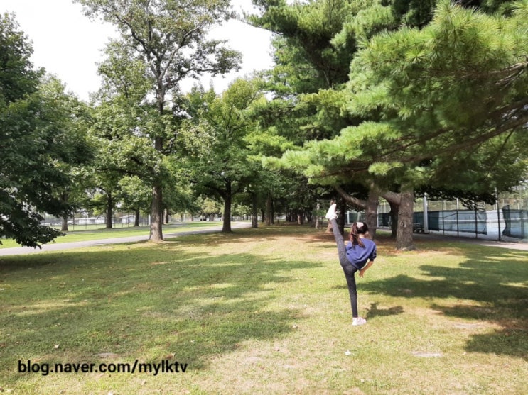  홈스쿨링의 장점과 단점: Homeschooling 좋은점과 힘든점