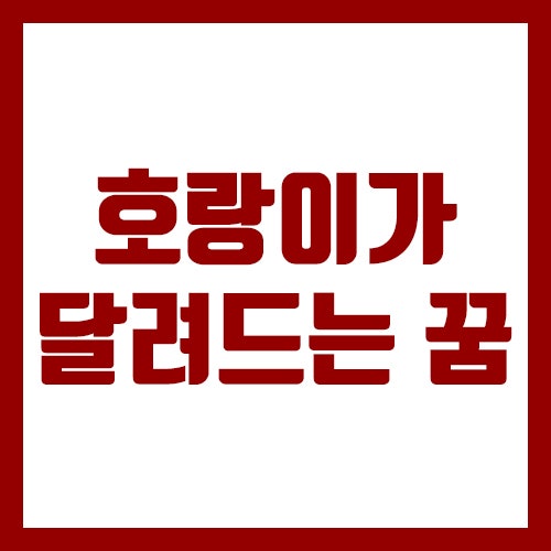 호랑이가 달려드는 꿈을 알아보자!