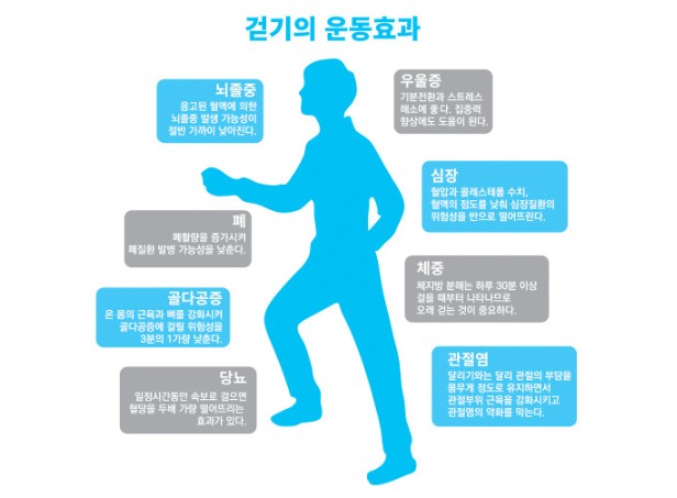  걷기가 주는 심신의 혜택 – 일본의 사례를 보면서