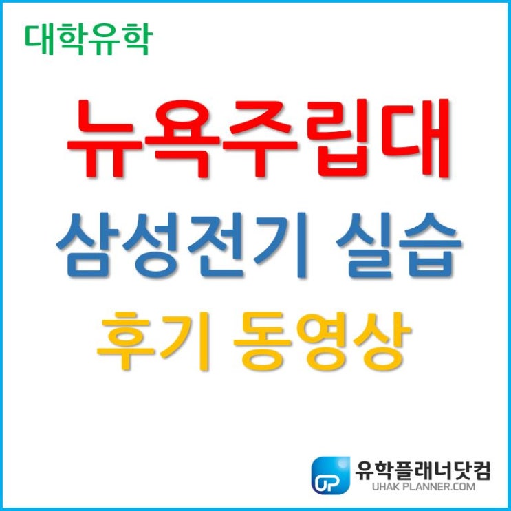 한국뉴욕주립대, 삼성전기 동계 공학실습후기