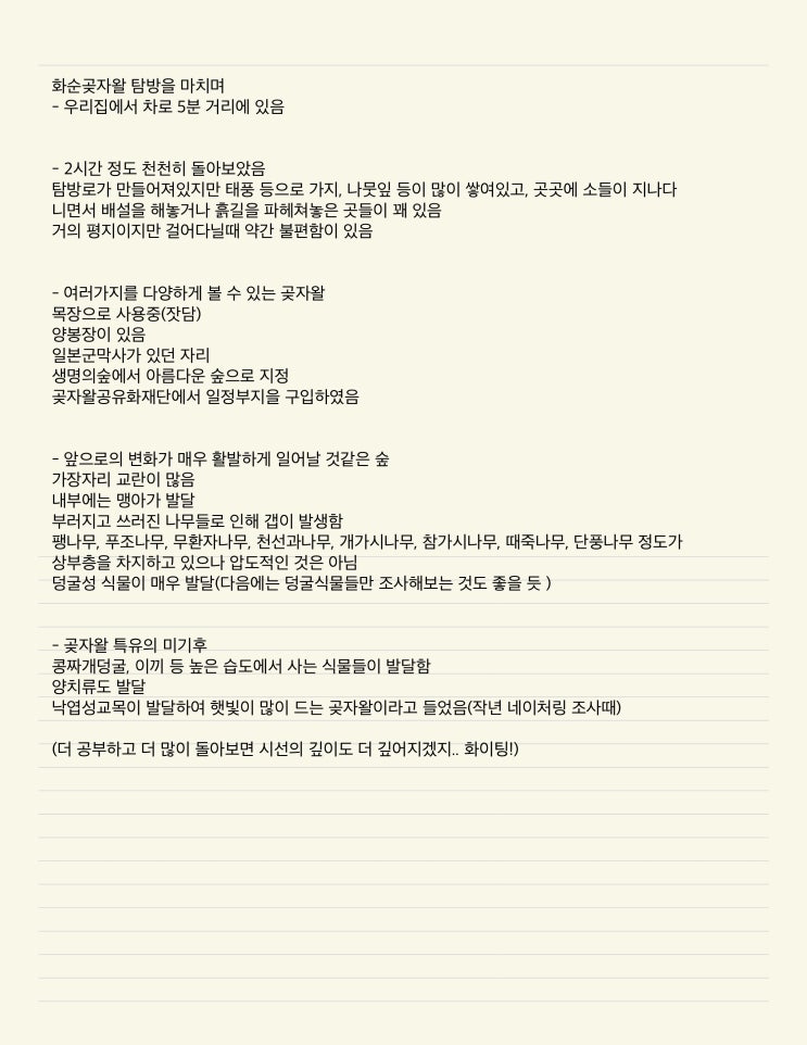 2020년 09월 13일 화순곶자왈 관찰기록 