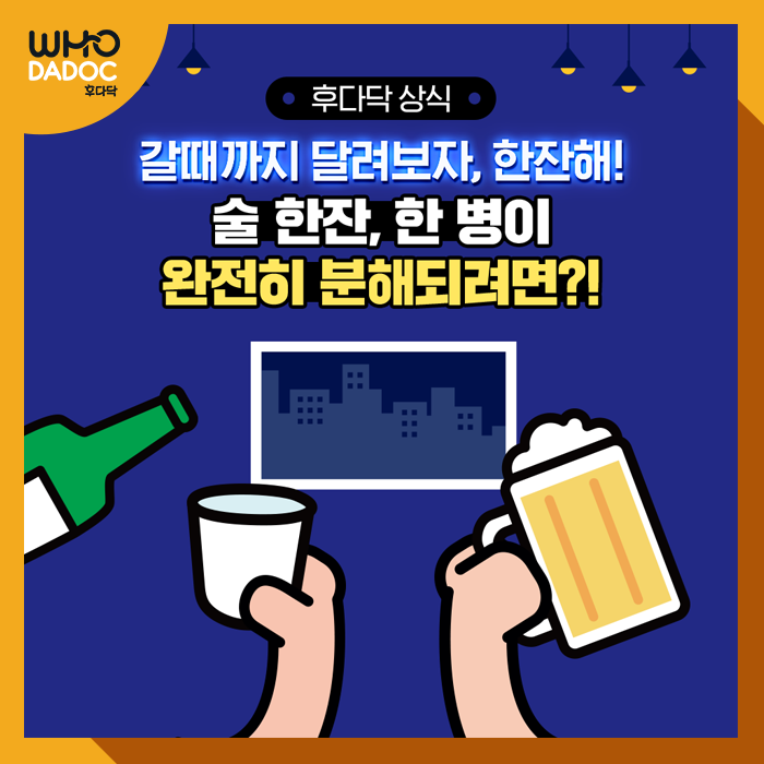 [후다닥 건강백서] 술 한 잔, 한 병이 완전히 분해되려면?! / 알코올과 간 건강