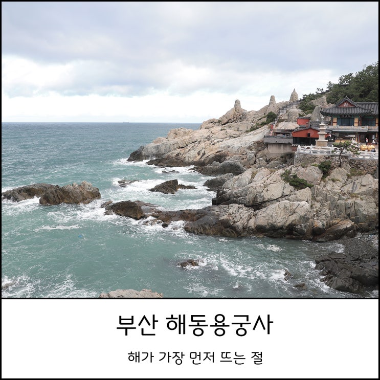 아이와 함께 당일치기 바다여행 부산 해동용궁사에서 소원을 말해봐