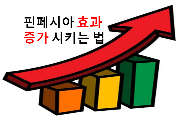  프로페시아 카피약 핀페시아 효과 증가시키는 법!