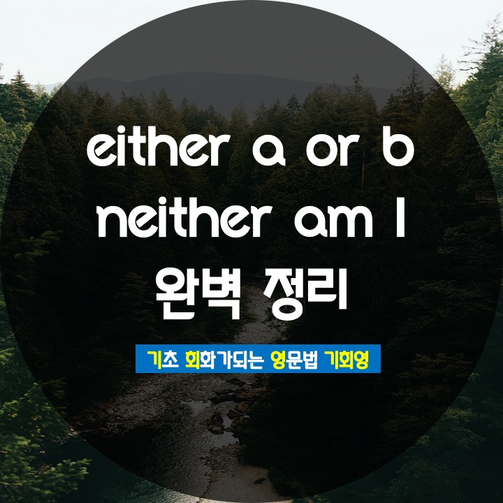 either a or b / me neither 완벽 정리 - 기회영 영어
