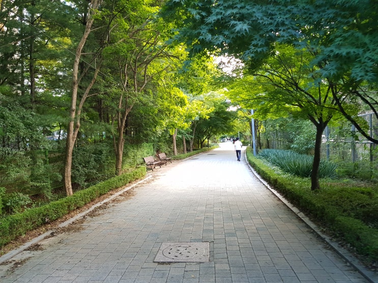  영통초교 걷기좋은길 산책로와 벽적골 공원을 걸어 봤어요~