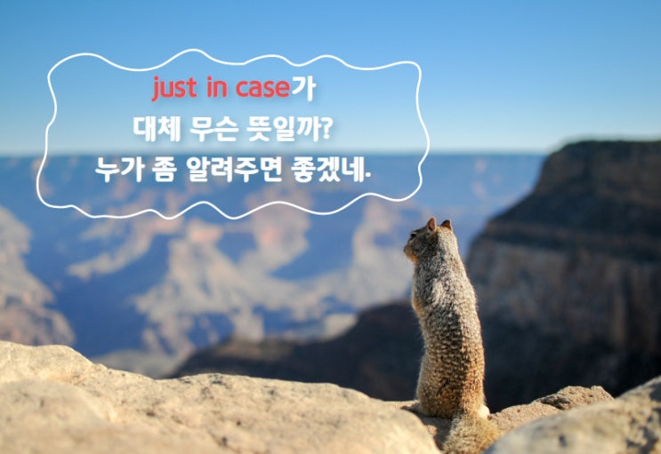  just in case 혹시 모르니까 알아볼까요?