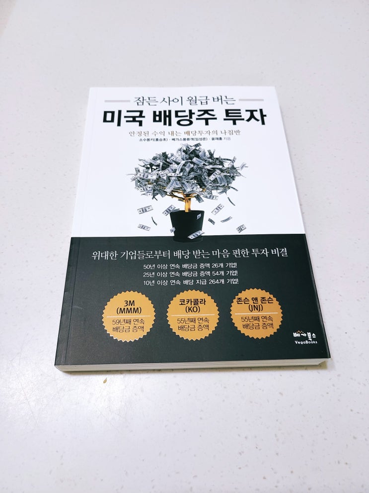  [책 리뷰, 서평] 잠든 사이 월급 버는 미국 배당주 투자(by 소수몽키, 베가스풍류객)