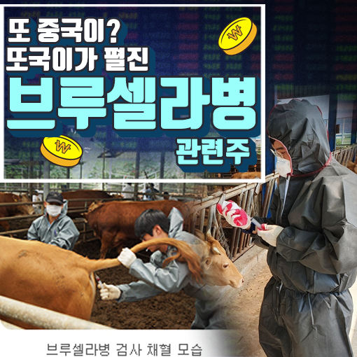  [라이프스탁] 동물백신 · 방역 (아프리카 돼지열병) 관련주