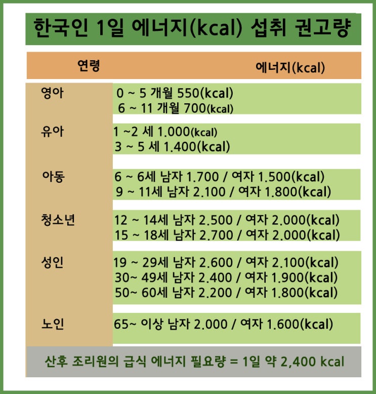  한국인 1일 에너지(kcal) 섭취 기준