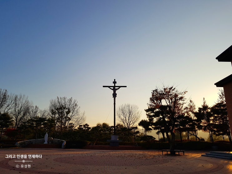  <Itinerary, 그리고 인생을 연재하다 174> 가톨릭과 진화론