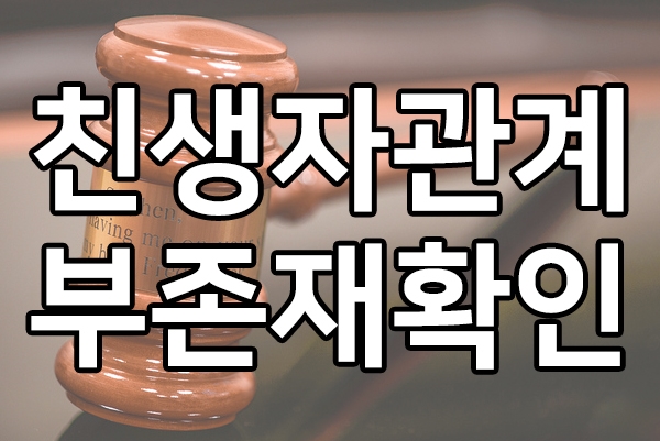  친생자관계부존재확인 소송 성공사례