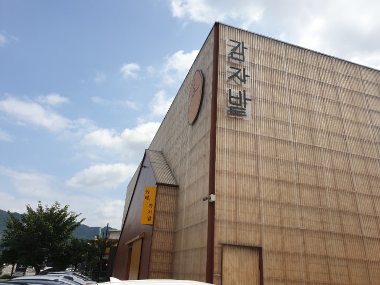  [춘천 감자밭 빵] 달콤, 담백한 감자가 꽉 찬 감자빵.. 호불호가 없는 맛있는 빵