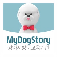 마이독스토리