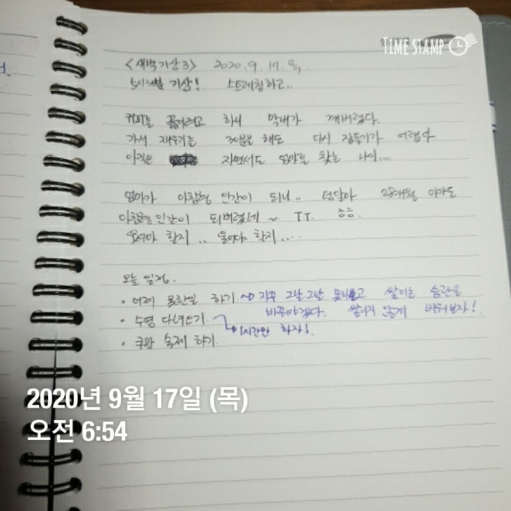 새벽기상3/ 할일 새벽기상3/ 할일