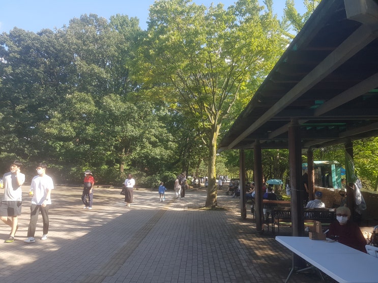  긴급 분당 정자동 한솔마을 주공7단지 코로나확진자 나왔다네요