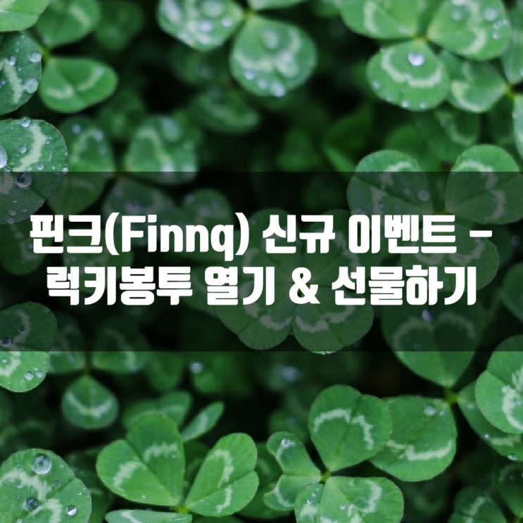 핀크(Finnq) 신규 이벤트 - 럭키봉투 열기 & 선물하기