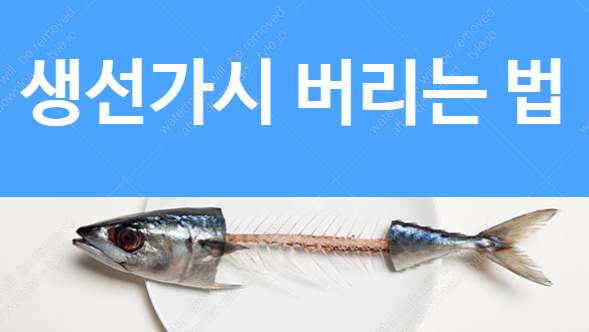 생선가시 버리는 법 일반쓰레기 음식물쓰레기 구분