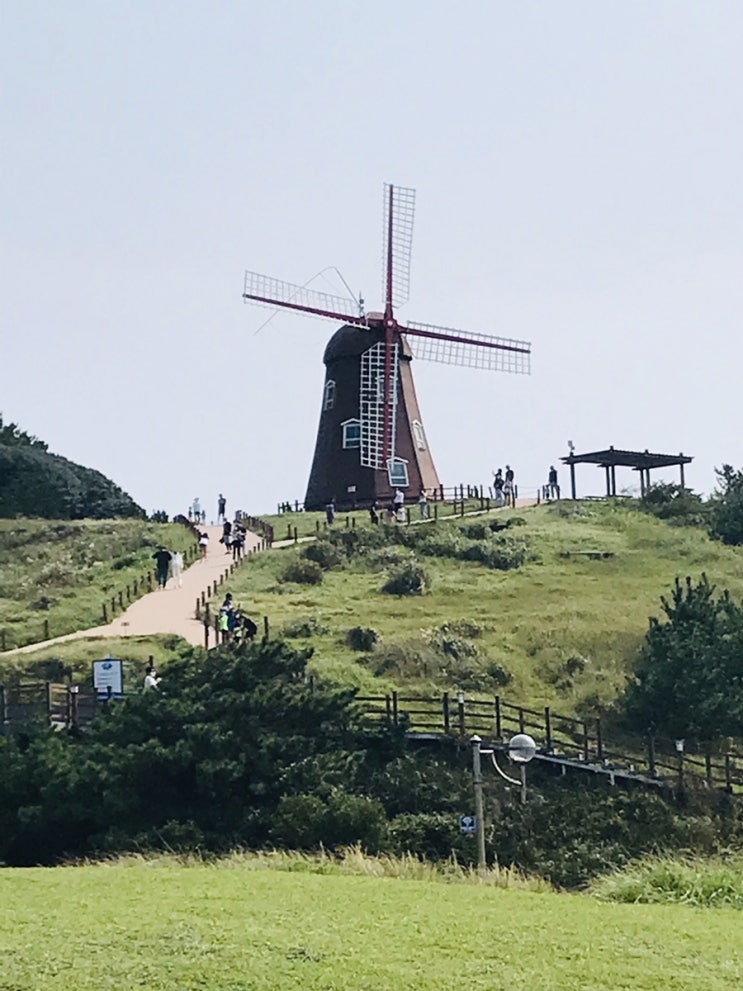  [거제도 갈만한 곳] 바람의 언덕(바람의핫도그), 학동흑진주몽돌해수욕장