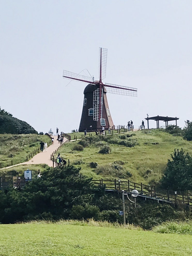 [거제도 갈만한 곳] 바람의 언덕(바람의핫도그), 학동흑진주몽돌해수욕장