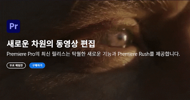 고퀄리티 GIF 만들기, 프리미어프로 움짤로 해결! 고퀄리티 GIF 만들기, 프리미어프로 움짤로 해결!