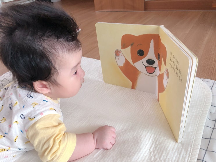 유아그림책 추천 :: 울아기를 위한 푸름이 까꿍 그림책