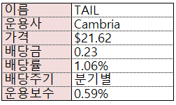  하방 방어를 위한 풋옵션 전략을 쓰는 ETF - TAIL