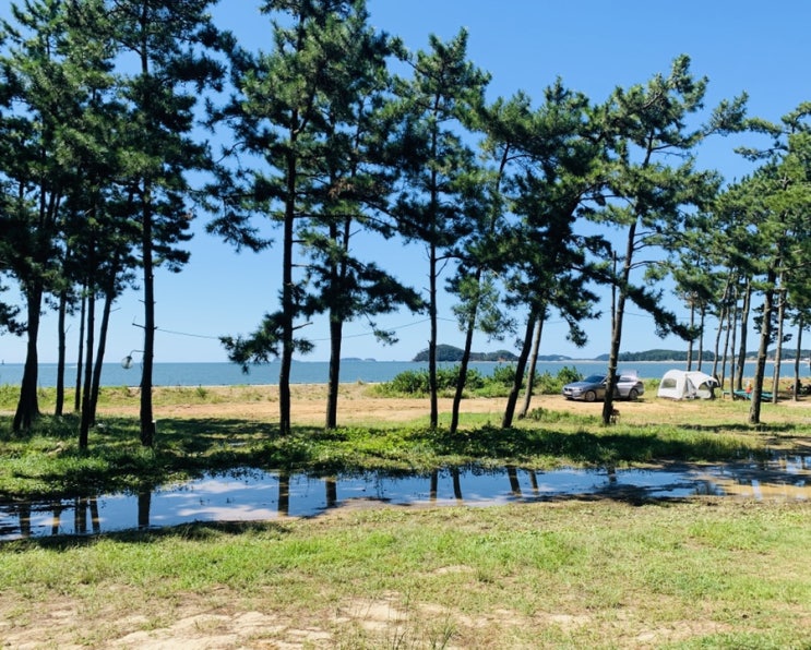  [솔캠]태안 바다가보이는 캠핑장/백사장사계절숲속캠핑장