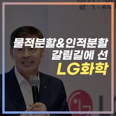  물적분할과 인적분할의 갈림길에 선 LG화학 