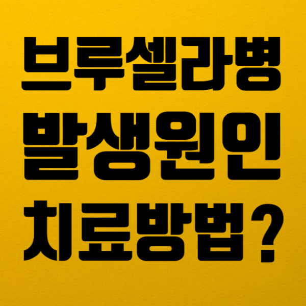 브루셀라병 중국집단 감염 발생원인 및 증상, 치료방법은? 브루셀라병 중국집단 감염 발생원인 및 증상, 치료방법은?