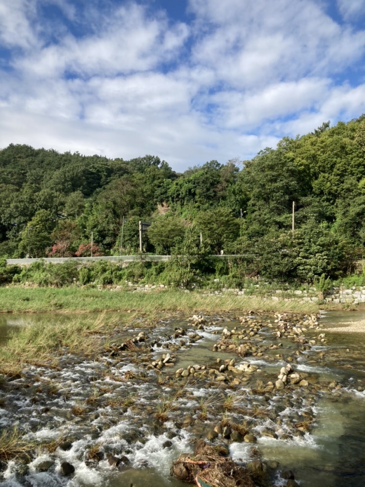 [산책]전주 한옥마을 근처 30분코스 등산로