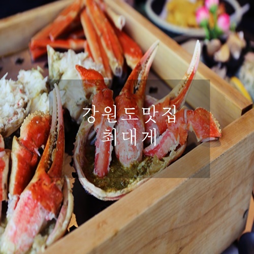  강원도 대게찜 맛집 최대게