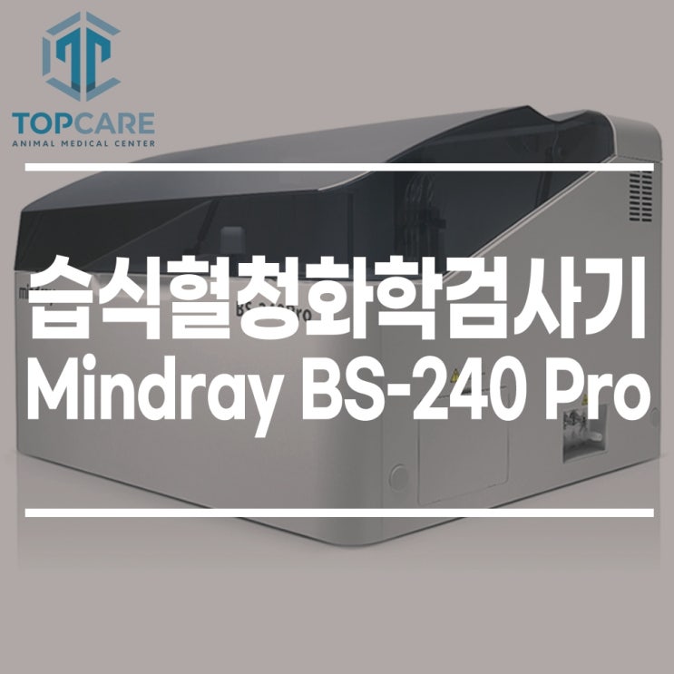  일산 고양 화정 24시 탑케어동물의료원 [습식혈청화학검사기, Mindray BS-240 Pro]