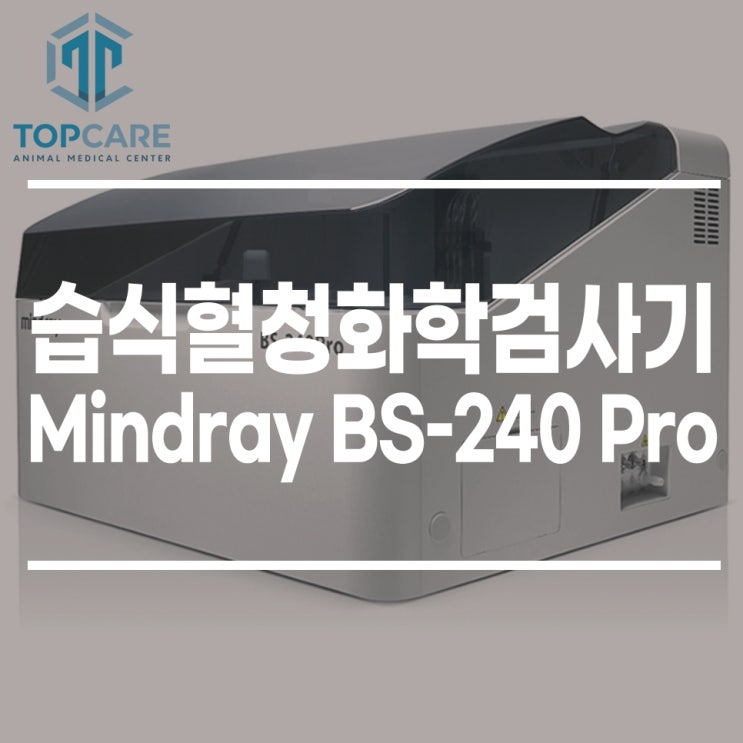 일산 고양 화정 24시 탑케어동물의료원 [습식혈청화학검사기, Mindray BS-240 Pro]