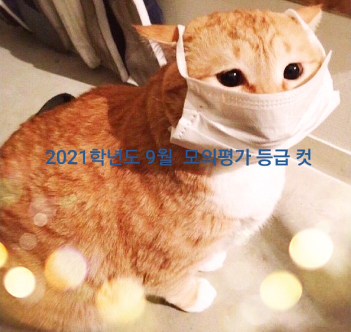  2021학년도 9월 모의평가 등급 컷 [예상]