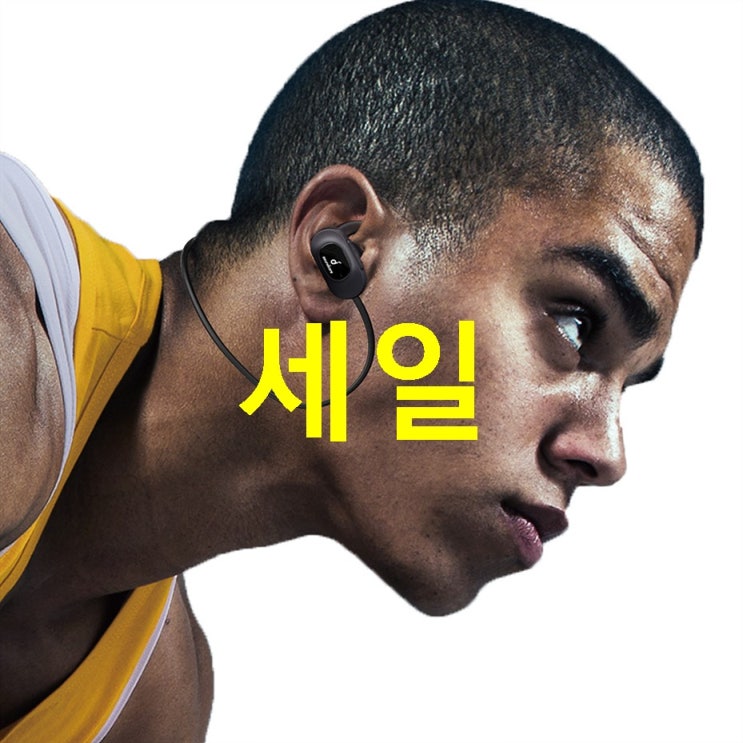  상품 앤커 사운드코어 스포츠 에어 블루투스 이어폰! 실시간 최저가 정보