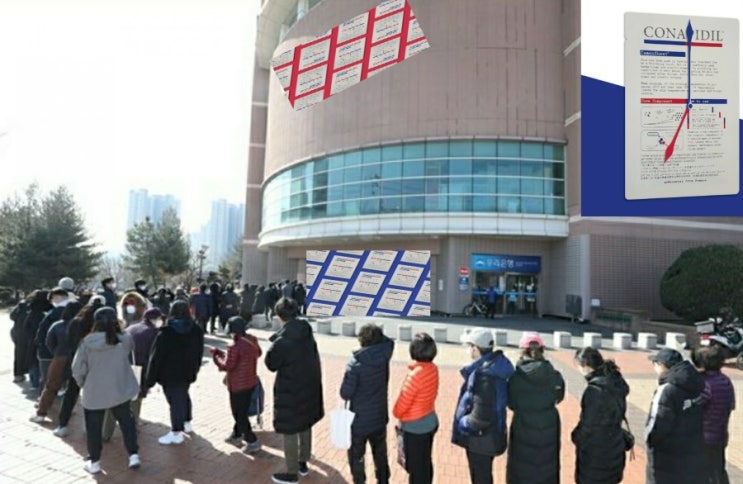  코나피딜세멘시트 못사요 6차 조기품절