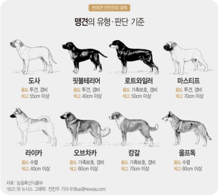 맹견 소유주 책임보험 가입 의무화…사망자 보상 한도 8000만원