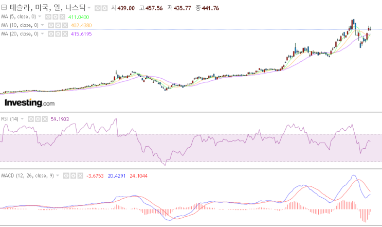  테슬라(TSLA)를 매수한 이유 - 테슬라 차트