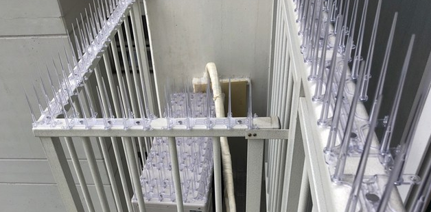  에어컨 실외기 비둘기퇴치, 버드스파이크 추천 순위