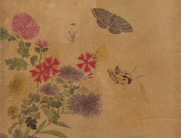  [그림한잔] 가을을 대표하는 꽃 국화, 맑은 향기와 기개가 담긴 〈국화그림〉 - 사군자 시리즈⓵