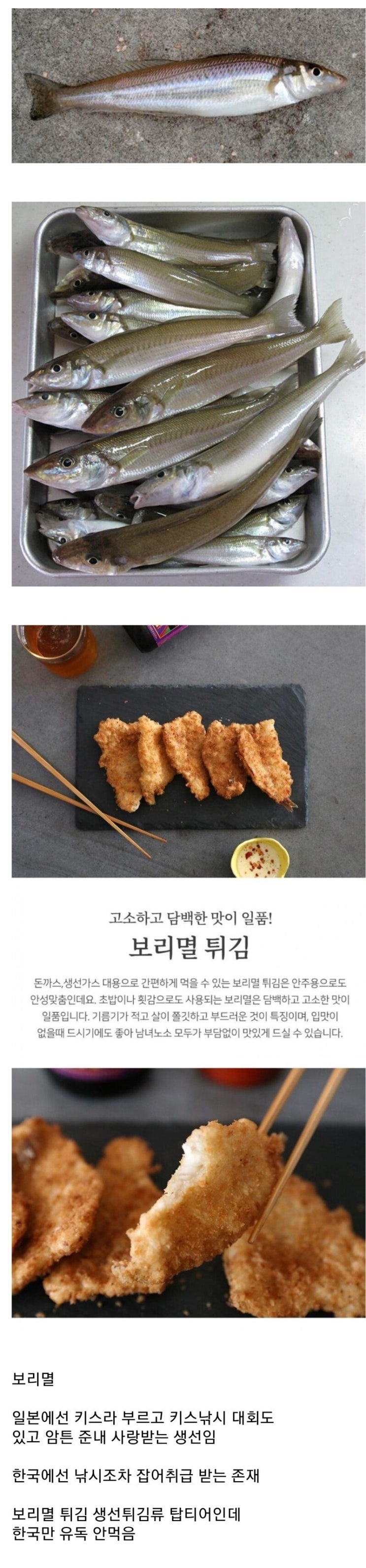 한국에서만 잘 안먹는 생선, 보리멸