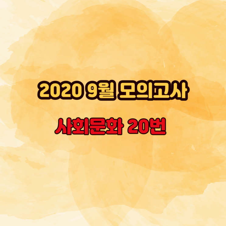 2020년 9월 모의고사 사회문화 - 20번 킬러 문항