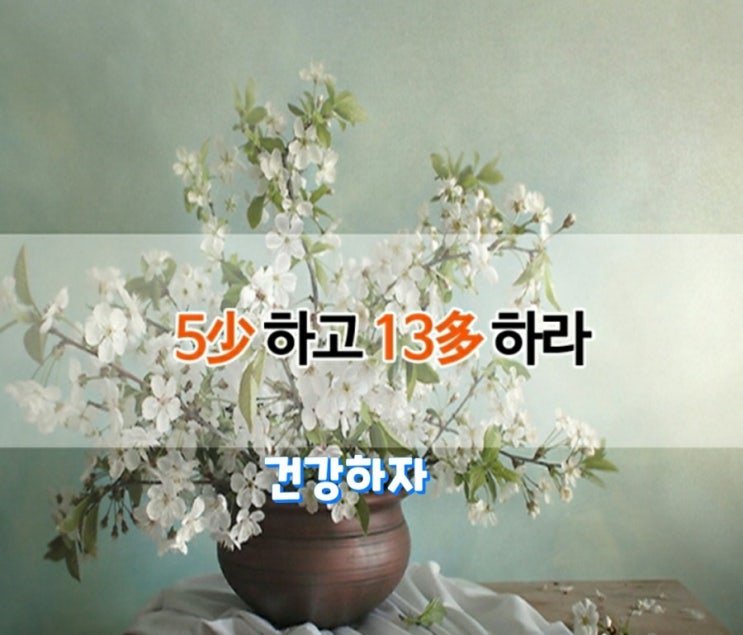  5少 하고 13多 하라