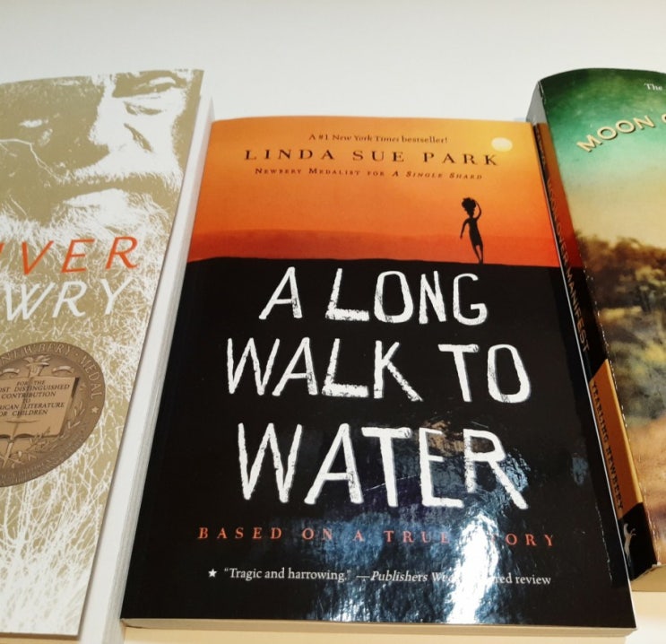  중학생 추천 영어 소설 The Giver: 미국 홈스쿨링 문학 부교재: The giver 줄거리