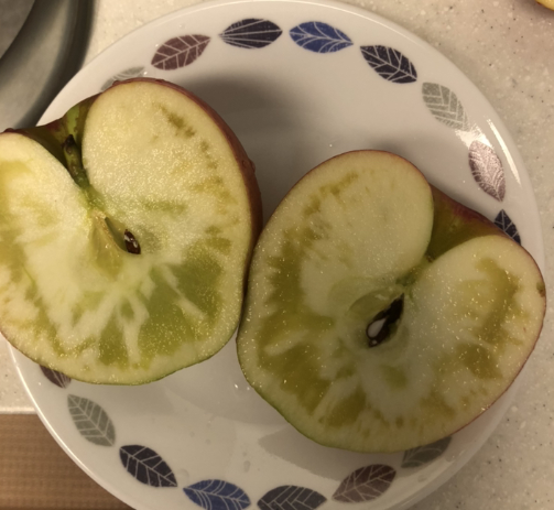 맛있는 사과 고르는 방법 과 보관방법