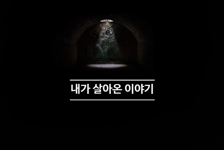  내가 살아온 이야기 (쓸데없이 긴...)
